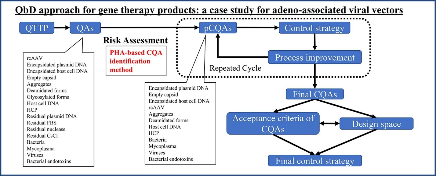 Optimization of the quality by design approach for gene therapy products